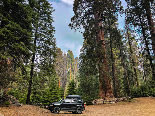 5 Things You Need for Your Road Trip!