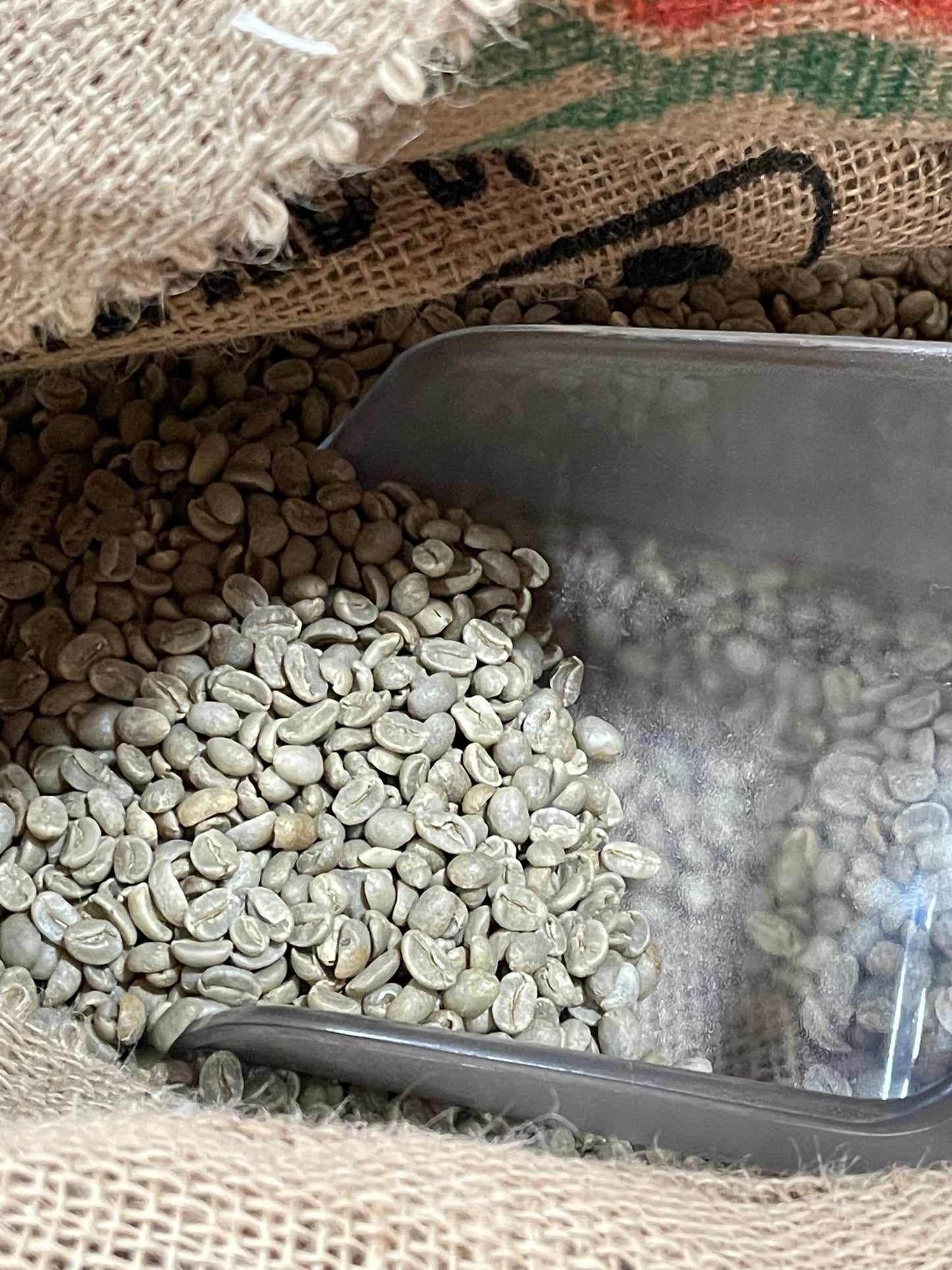 Green Bird Friendly Coffee