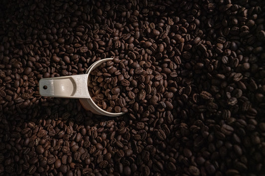 Upcycle Combo Coffee 4-10 months old