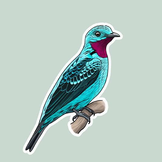 Cotinga Sticker