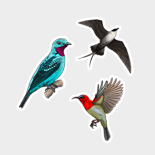 Sticker Bundle