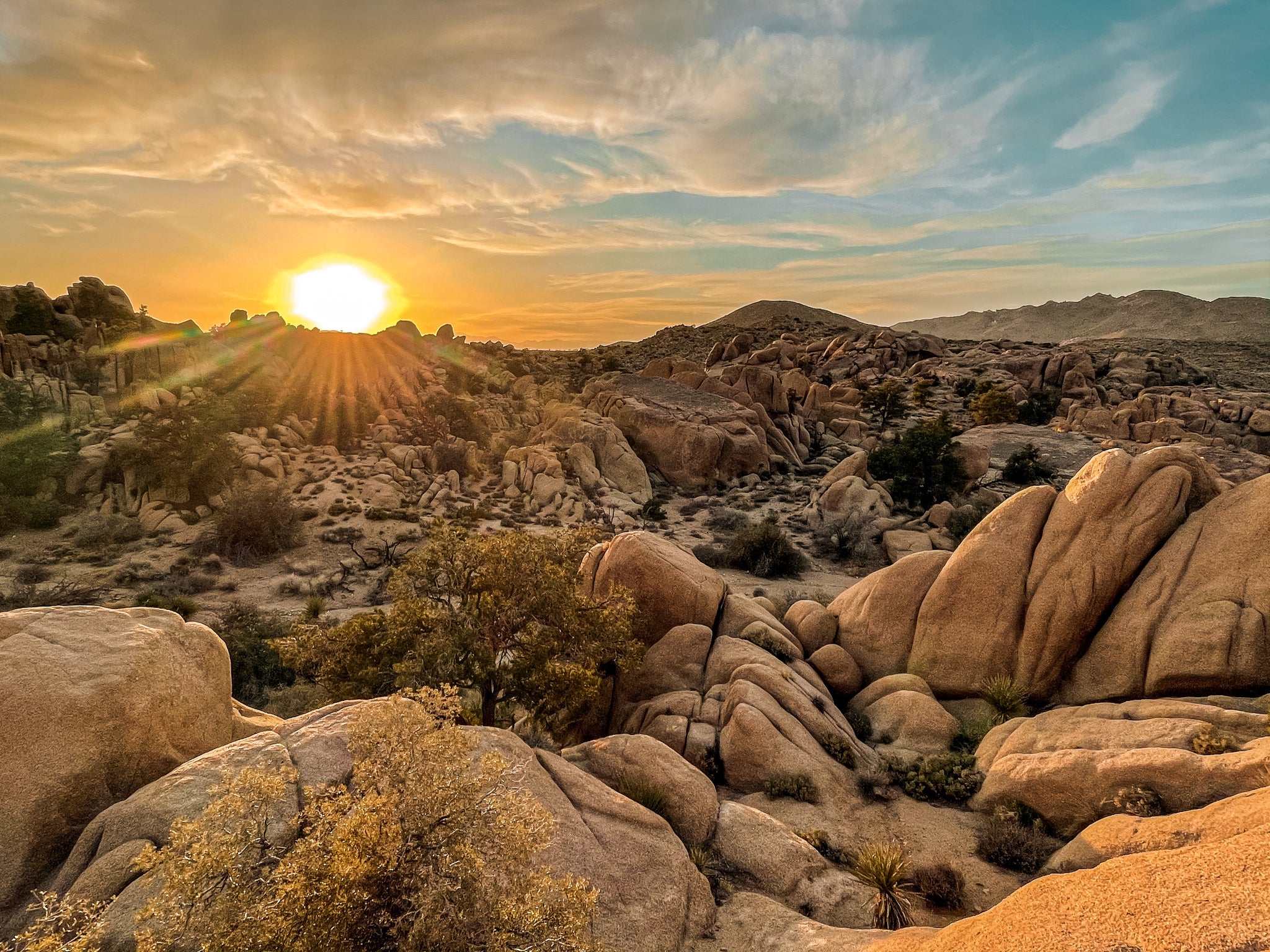 What to do in Joshua Tree National Park