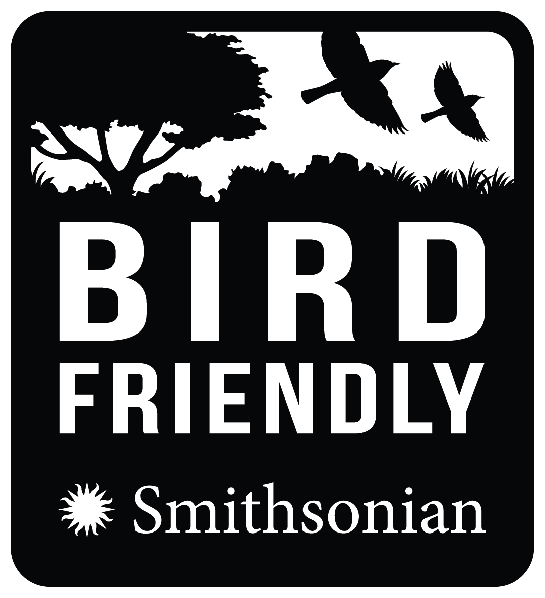 Amaranth Vanilla Chocolate Bar - Certified Bird Friendly