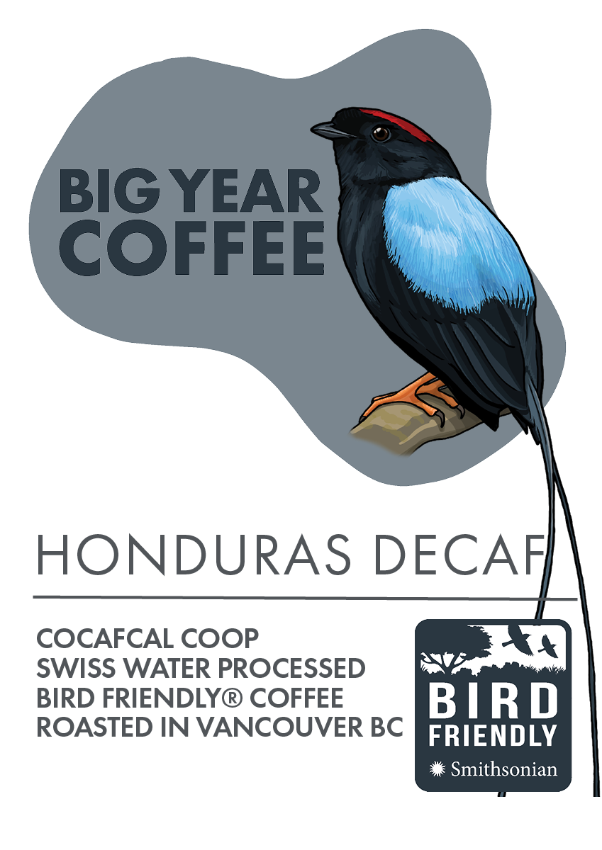 Honduras Decaf Bird Friendly® Coffee
