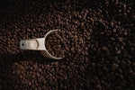 Load image into Gallery viewer, Guatemala Bird-Friendly Coffee
