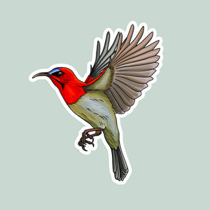 Sunbird Sticker