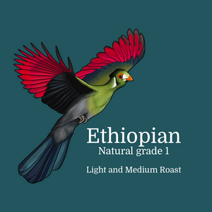 Ethiopian Bird-friendly Coffee